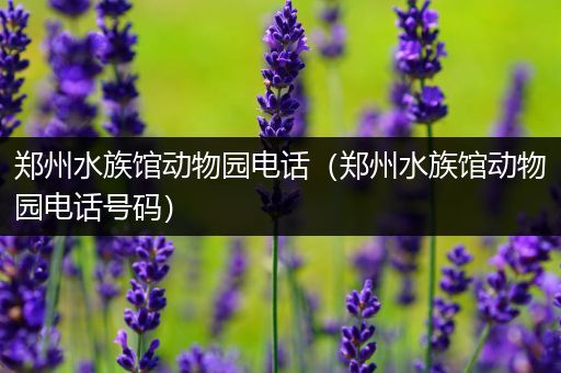 郑州水族馆动物园电话（郑州水族馆动物园电话号码）