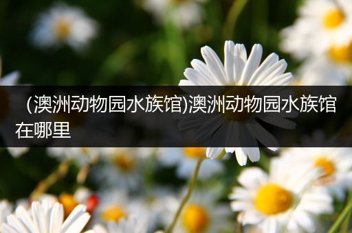 （澳洲动物园水族馆)澳洲动物园水族馆在哪里