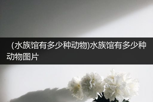 （水族馆有多少种动物)水族馆有多少种动物图片