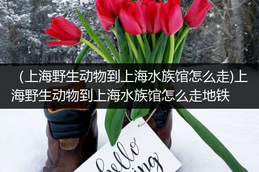（上海野生动物到上海水族馆怎么走)上海野生动物到上海水族馆怎么走地铁