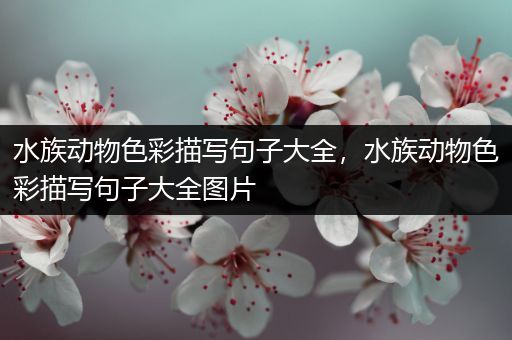 水族动物色彩描写句子大全，水族动物色彩描写句子大全图片