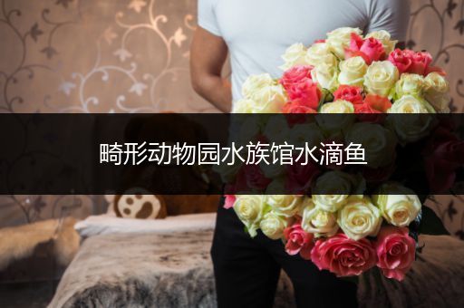 畸形动物园水族馆水滴鱼