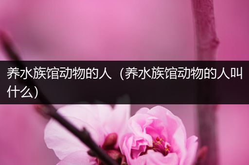 养水族馆动物的人（养水族馆动物的人叫什么）