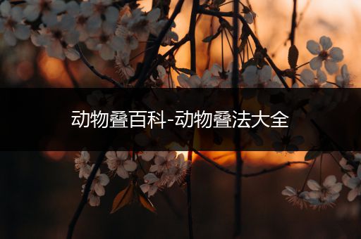 动物叠百科-动物叠法大全