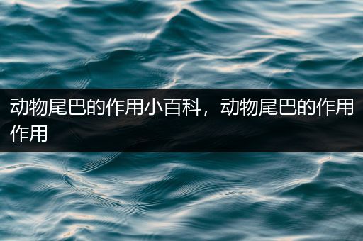 动物尾巴的作用小百科，动物尾巴的作用作用