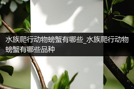 水族爬行动物螃蟹有哪些_水族爬行动物螃蟹有哪些品种