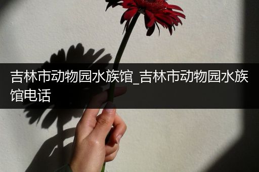 吉林市动物园水族馆_吉林市动物园水族馆电话