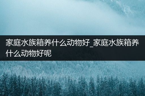 家庭水族箱养什么动物好_家庭水族箱养什么动物好呢