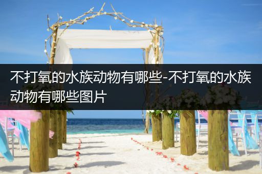 不打氧的水族动物有哪些-不打氧的水族动物有哪些图片