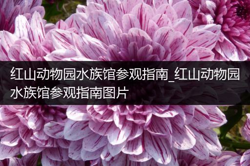 红山动物园水族馆参观指南_红山动物园水族馆参观指南图片