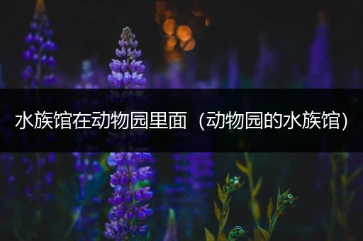 水族馆在动物园里面（动物园的水族馆）