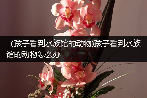 （孩子看到水族馆的动物)孩子看到水族馆的动物怎么办
