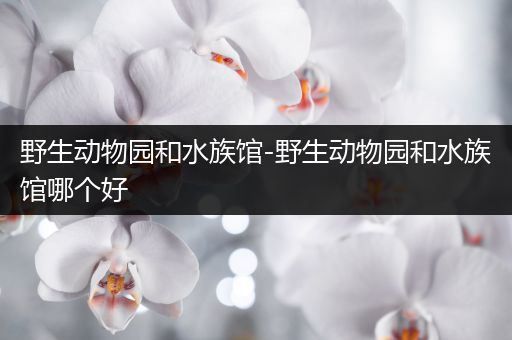 野生动物园和水族馆-野生动物园和水族馆哪个好