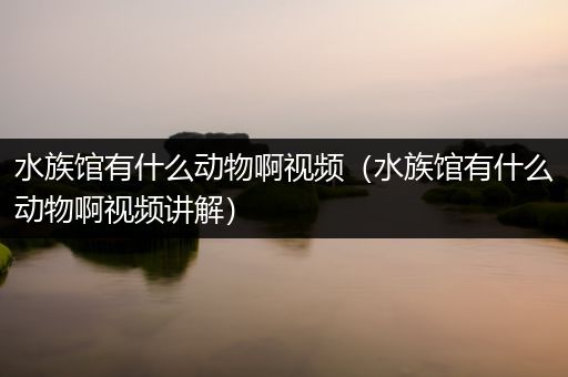 水族馆有什么动物啊视频（水族馆有什么动物啊视频讲解）