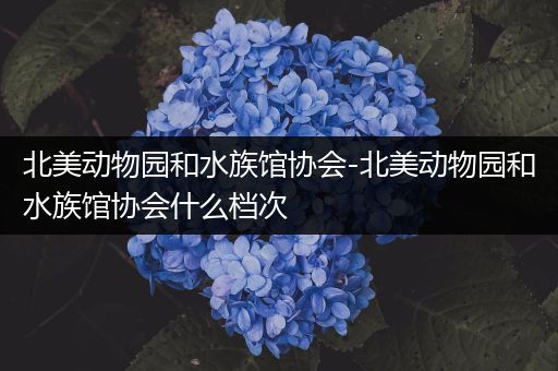 北美动物园和水族馆协会-北美动物园和水族馆协会什么档次