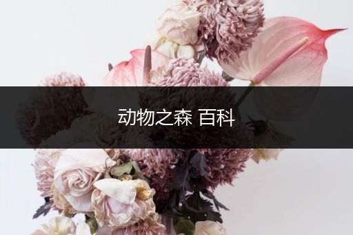 动物之森 百科