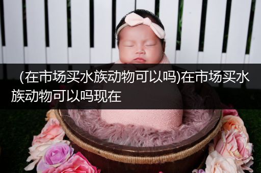 （在市场买水族动物可以吗)在市场买水族动物可以吗现在