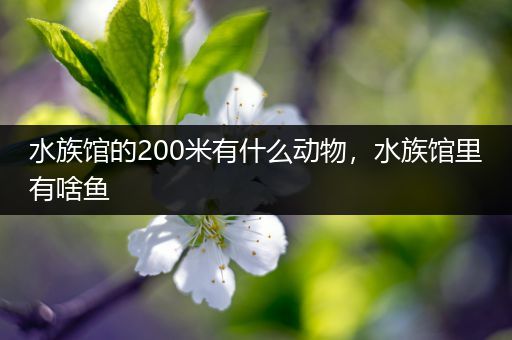水族馆的200米有什么动物，水族馆里有啥鱼