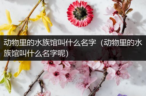 动物里的水族馆叫什么名字（动物里的水族馆叫什么名字呢）