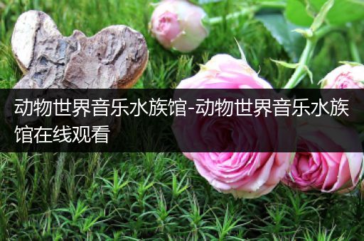 动物世界音乐水族馆-动物世界音乐水族馆在线观看