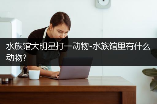 水族馆大明星打一动物-水族馆里有什么动物?