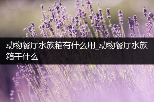 动物餐厅水族箱有什么用_动物餐厅水族箱干什么