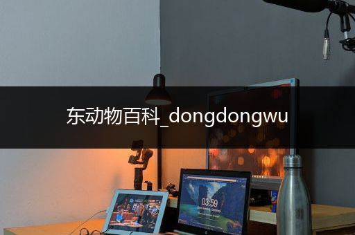 东动物百科_dongdongwu
