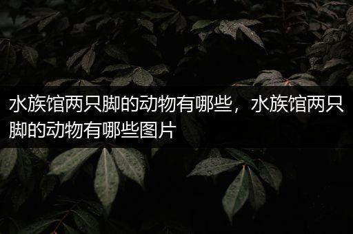 水族馆两只脚的动物有哪些，水族馆两只脚的动物有哪些图片