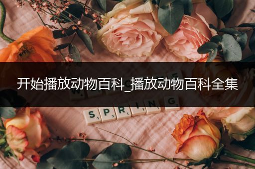 开始播放动物百科_播放动物百科全集