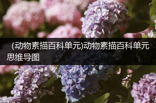 （动物素描百科单元)动物素描百科单元思维导图
