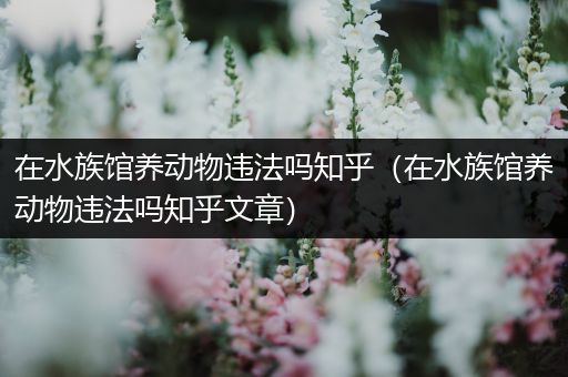在水族馆养动物违法吗知乎（在水族馆养动物违法吗知乎文章）