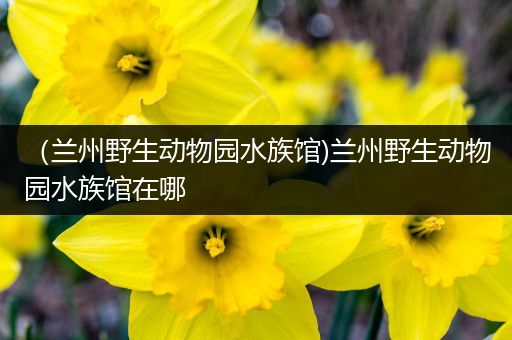 （兰州野生动物园水族馆)兰州野生动物园水族馆在哪