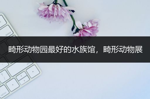 畸形动物园最好的水族馆，畸形动物展