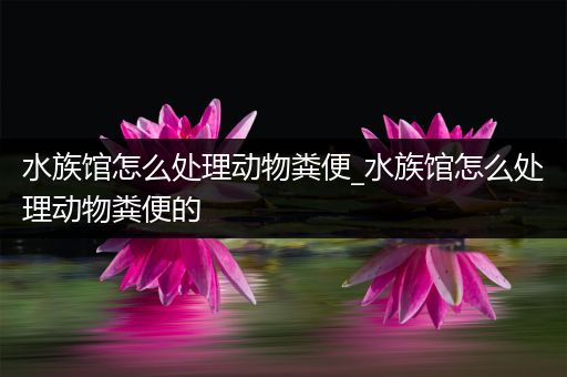 水族馆怎么处理动物粪便_水族馆怎么处理动物粪便的