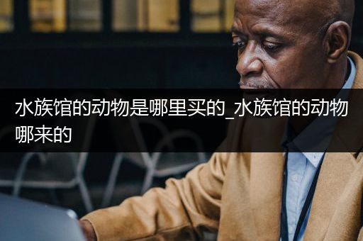 水族馆的动物是哪里买的_水族馆的动物哪来的