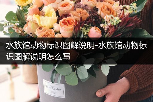 水族馆动物标识图解说明-水族馆动物标识图解说明怎么写