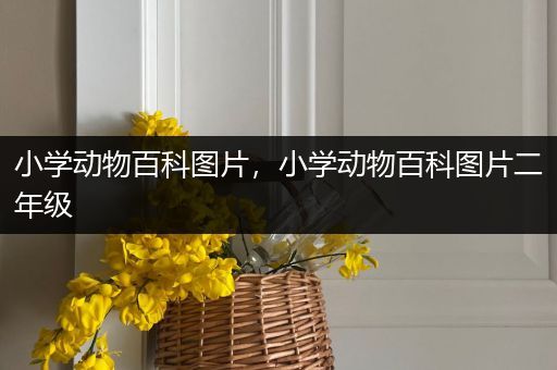 小学动物百科图片，小学动物百科图片二年级