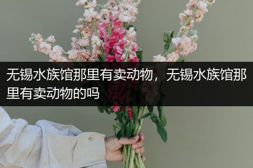 无锡水族馆那里有卖动物，无锡水族馆那里有卖动物的吗
