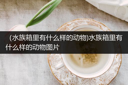 （水族箱里有什么样的动物)水族箱里有什么样的动物图片