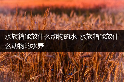 水族箱能放什么动物的水-水族箱能放什么动物的水养