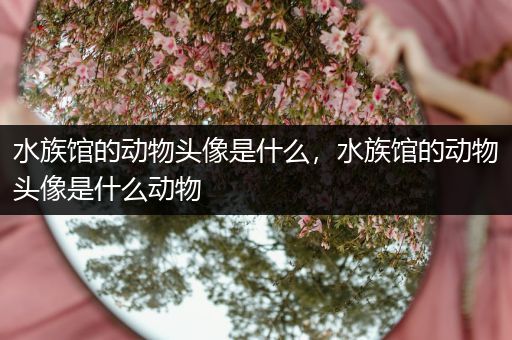 水族馆的动物头像是什么，水族馆的动物头像是什么动物