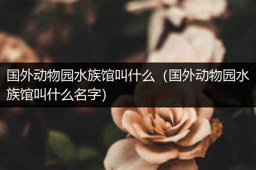 国外动物园水族馆叫什么（国外动物园水族馆叫什么名字）