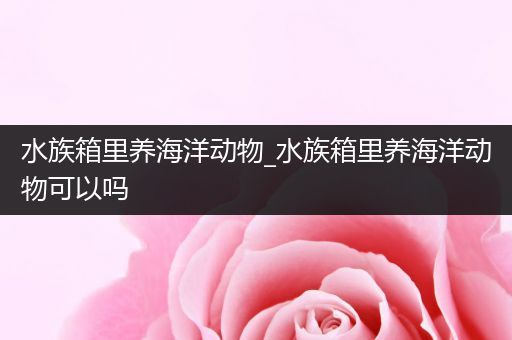 水族箱里养海洋动物_水族箱里养海洋动物可以吗