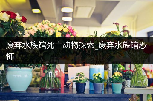 废弃水族馆死亡动物探索_废弃水族馆恐怖
