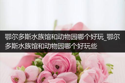 鄂尔多斯水族馆和动物园哪个好玩_鄂尔多斯水族馆和动物园哪个好玩些