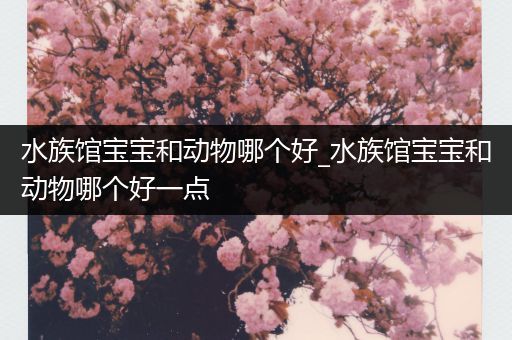 水族馆宝宝和动物哪个好_水族馆宝宝和动物哪个好一点