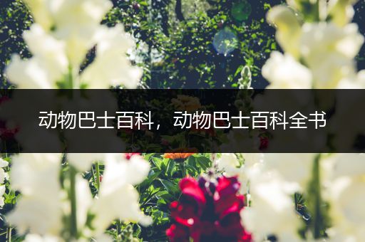 动物巴士百科，动物巴士百科全书