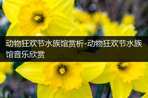 动物狂欢节水族馆赏析-动物狂欢节水族馆音乐欣赏