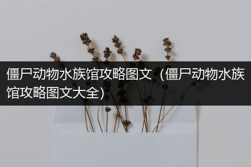 僵尸动物水族馆攻略图文（僵尸动物水族馆攻略图文大全）
