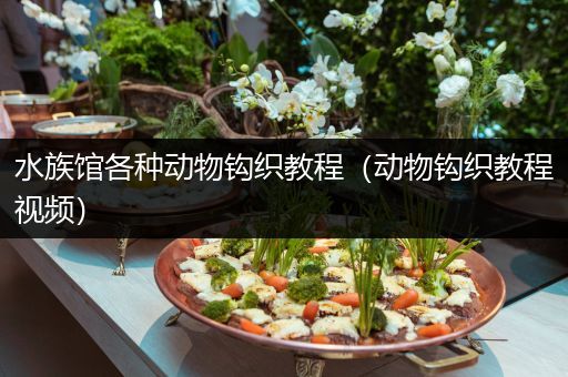 水族馆各种动物钩织教程（动物钩织教程视频）
